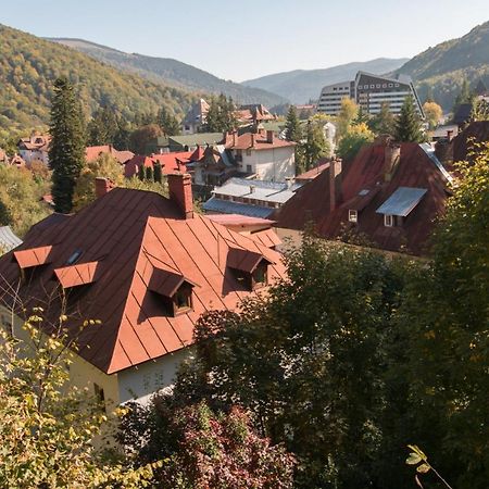 Rustic Regal Apartamento Sinaia Exterior foto